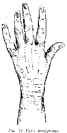 Большой палец