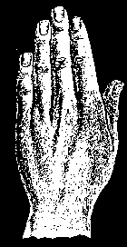 Практичная рука