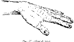 Практичная рука