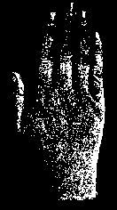 Практичная рука