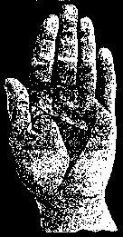 Особые знаки на руке