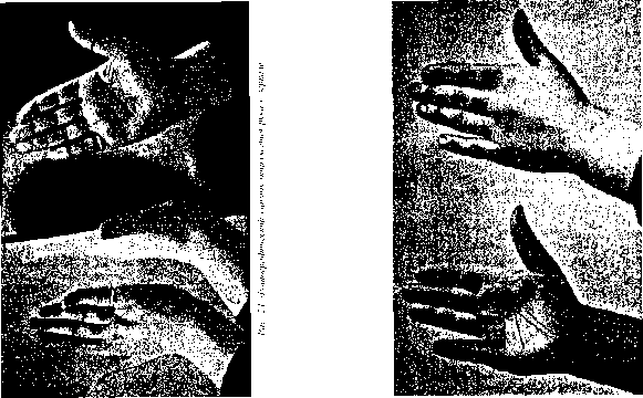 Особые знаки на руке