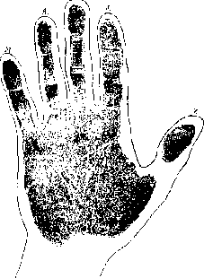 Особые знаки на руке