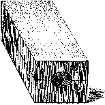 Особые знаки на руке