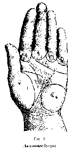 ЛИНИИ НА ЛАДОННОЙ ПОВЕРХНОСТИ РУКИ И ИХ ЗНАЧЕНИЕ