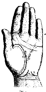 ЛИНИИ НА ЛАДОННОЙ ПОВЕРХНОСТИ РУКИ И ИХ ЗНАЧЕНИЕ