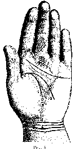 ЛИНИИ НА ЛАДОННОЙ ПОВЕРХНОСТИ РУКИ И ИХ ЗНАЧЕНИЕ