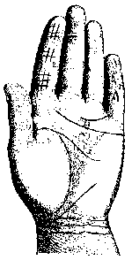 ЛИНИИ НА ЛАДОННОЙ ПОВЕРХНОСТИ РУКИ И ИХ ЗНАЧЕНИЕ