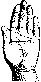 ЛИНИИ НА ЛАДОННОЙ ПОВЕРХНОСТИ РУКИ И ИХ ЗНАЧЕНИЕ