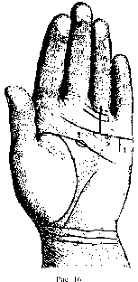 Измерение руки (хирометрия)