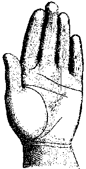 Измерение руки (хирометрия)