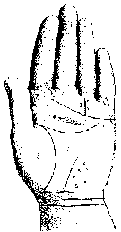 Измерение руки (хирометрия)