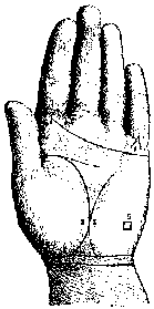 Измерение руки (хирометрия)