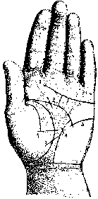 Измерение руки (хирометрия)