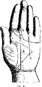 Измерение руки (хирометрия)