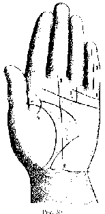 Измерение руки (хирометрия)