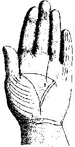 Измерение руки (хирометрия)