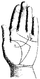 Измерение руки (хирометрия)