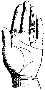 Измерение руки (хирометрия)