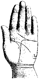 Измерение руки (хирометрия)