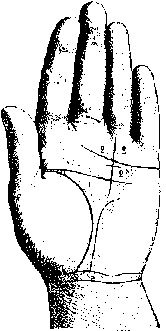 Измерение руки (хирометрия)