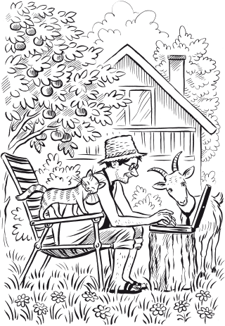 �������� �������� � ���������