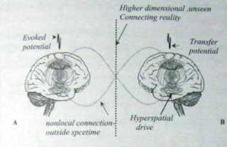 ������������� ���� ���������.