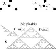 ������������� ����� � ����������� ���������� ��������� �������