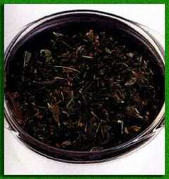 ����� ����� ���������� �� �����, 