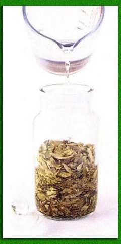 �� ������ ������ ���������� �������� 