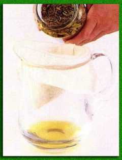 �� ������ ������ ���������� �������� 