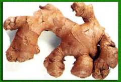 �� ������ ������ ���������� �������� 