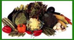 �������� ����