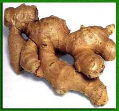 ���������� �����������