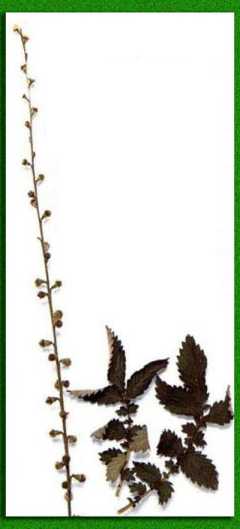 ���� � �����