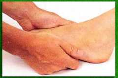 ������������� ��������������