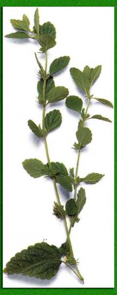 ������� � �����