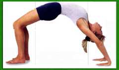 ����������� �������������� �����