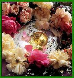 ������� ������������