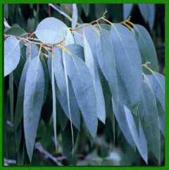 ������� ������������