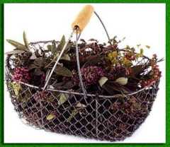 ������� ������������