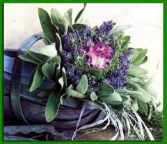 ������� ������������