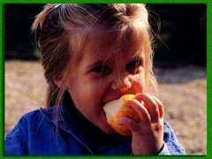 ������� �����������