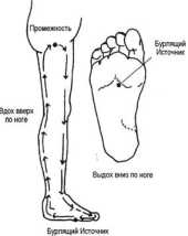 ���������������� ������