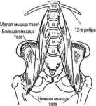 ������ 1: ������������ ���������� ���� ����