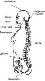 �������� ��������� � ����������� �������