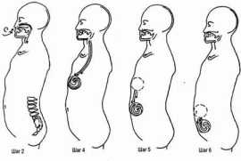 ������ 10: ��������� ���