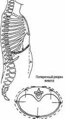 ������� �������