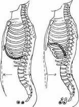 ������� ������� � ���� �����������