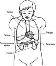 ��� �������� ���� (������)